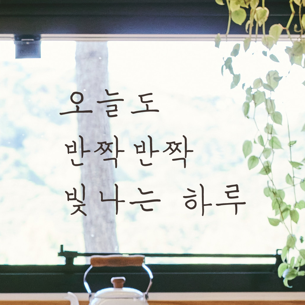 손글씨 레터링 스티커 오늘도 반짝반짝 빛나는 하루 LH-034S검정 - 상세 이미지 3