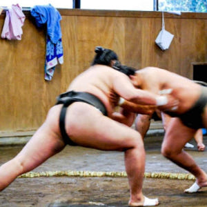 일본 도쿄 스모 훈련 참관 솔직 후기 | 실사용자 리뷰 분석 - 상품 이미지 1