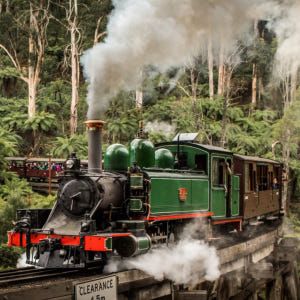 호주 멜버른  퍼핑 빌리 & 펭귄 야생동물 일일 투어 솔직 후기 | 실사용자 리뷰 분석 - 상품 이미지 1