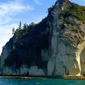 뉴질랜드 북섬 커시드럴 코브 보트 투어 솔직 후기 | 실사용자 리뷰 분석 - 상품 이미지 2