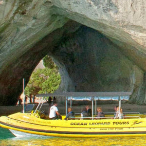 뉴질랜드 북섬 커시드럴 코브 보트 투어 솔직 후기 | 실사용자 리뷰 분석 - 상품 이미지 3