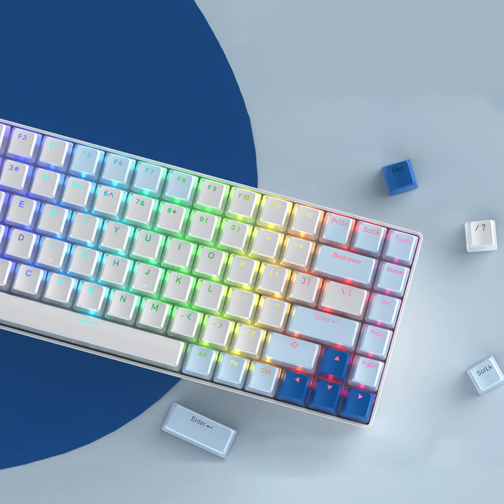 푸딩 키캡 화이트 LED RGB 투과 반투명 OEM PBT 이중사출 기계식키보드 키캡 - 상세 이미지 2
