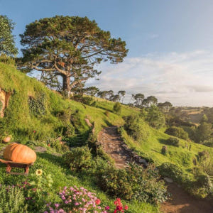 뉴질랜드 북섬 호빗마을 호비튼 영화 세트장 투어【반일투어】 솔직 후기 | 실사용자 리뷰 분석 - 상품 이미지 1