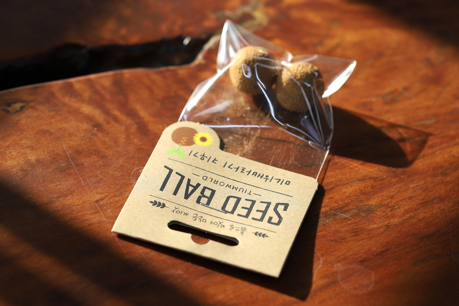 씨드볼 미니 해바라기 키우기 홈가드닝 꽃 씨앗 기르기 (2개입) - 상세 이미지 2