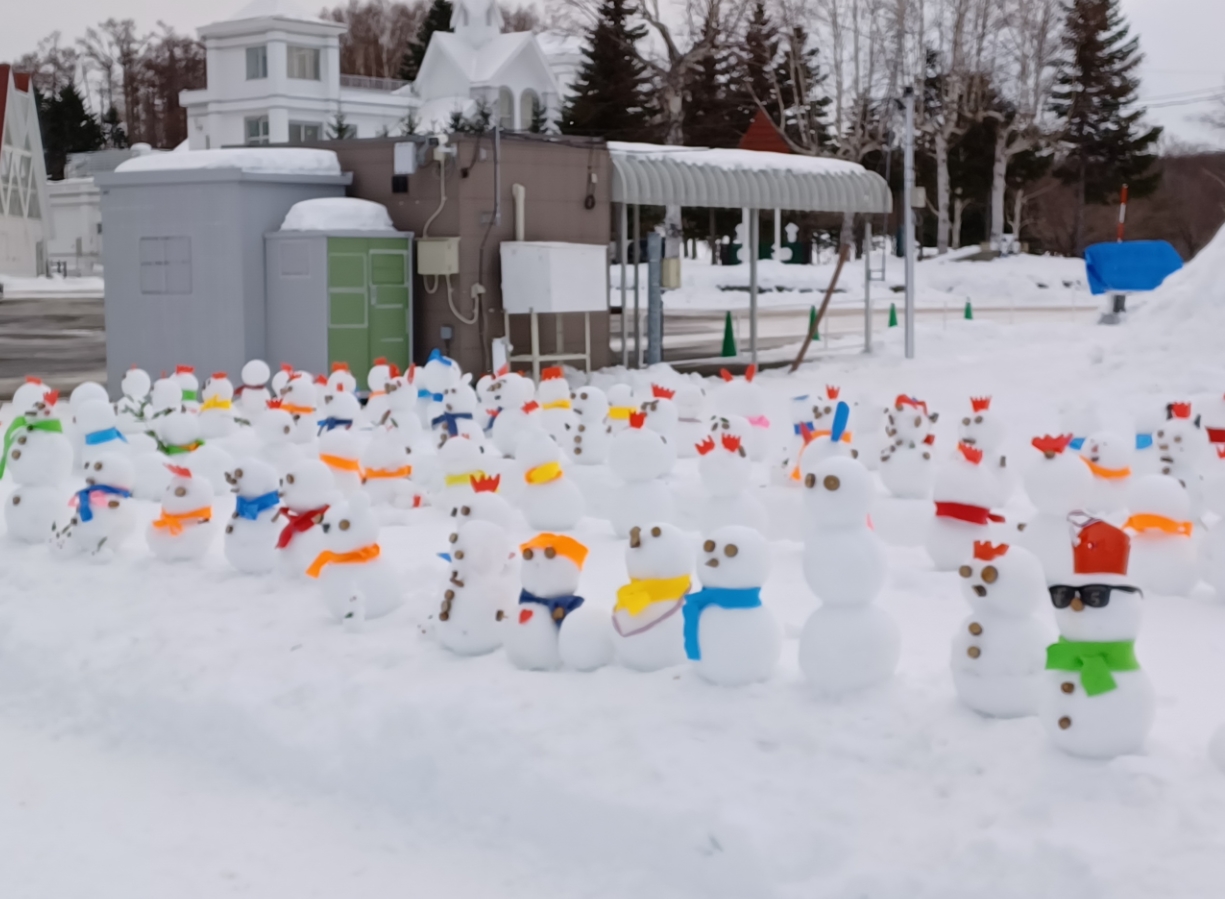 일본 【홋카이도 정기 관광 버스】B 삿포로 오후 관광 오쿠라산 점프 & 히츠지가오카 코스 이미지 4