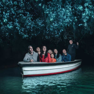 뉴질랜드 북섬 오클랜드 | 와이토모 반딧불동굴 탐험 솔직 후기 | 실사용자 리뷰 분석 - 상품 이미지 3