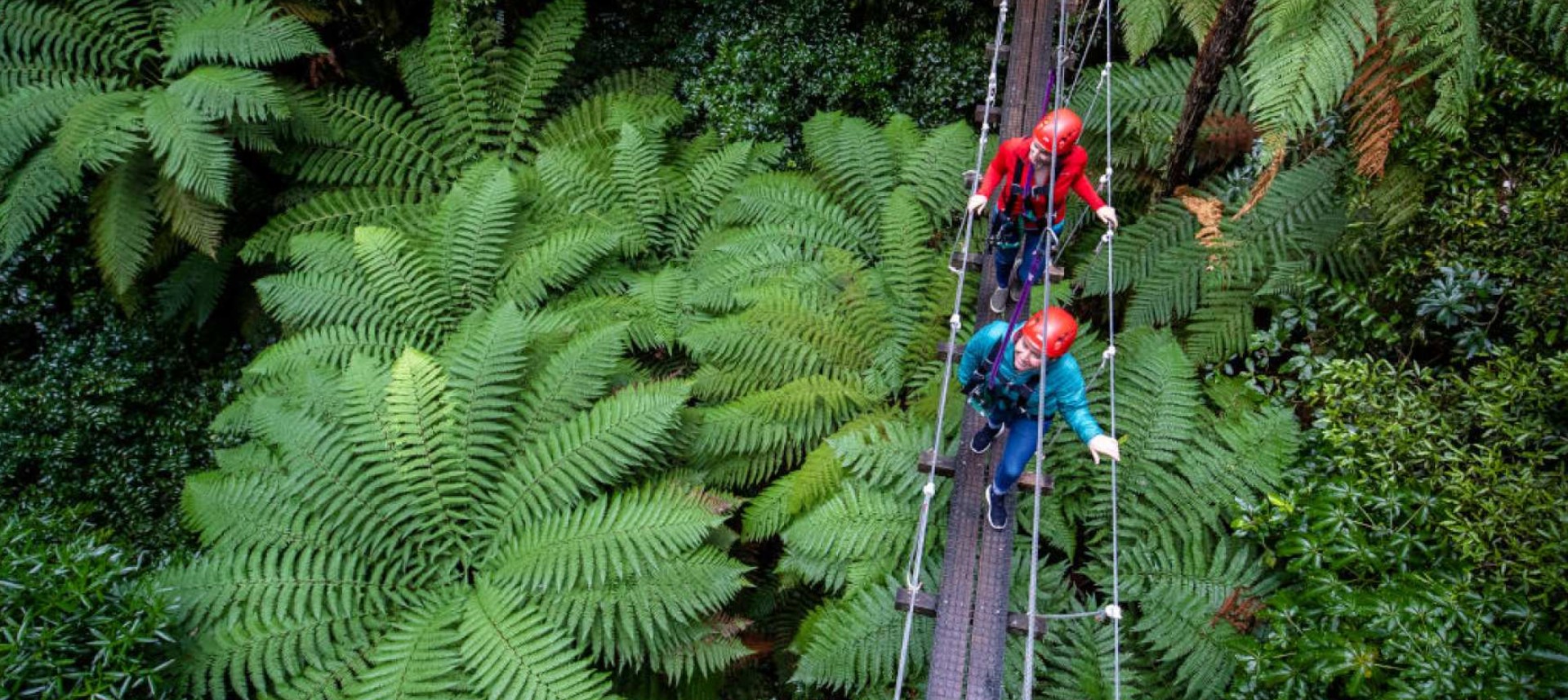 뉴질랜드 로토루아 포레스트 짚라인 캐노피 투어 이미지 4