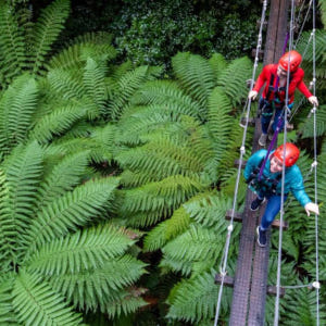 뉴질랜드 로토루아 포레스트 짚라인 캐노피 투어 솔직 후기 | 실사용자 리뷰 분석 - 상품 이미지 4