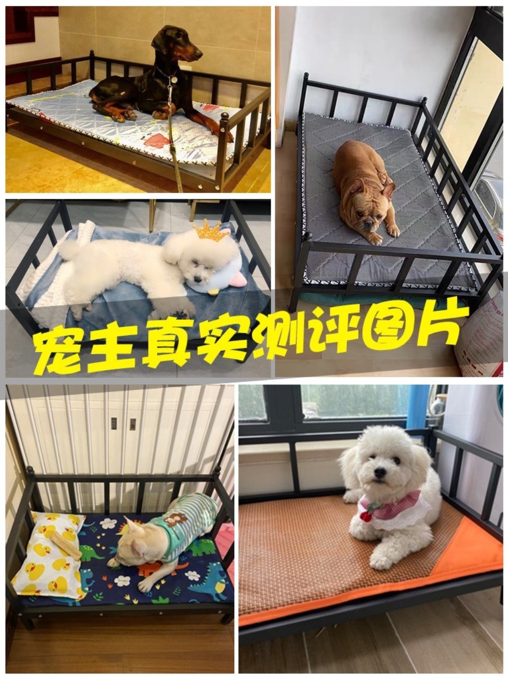 애견 침대 강아지침대 고양이침대 원목 쇼파 애견쇼파 고양이 강아지쇼파 - 상세 이미지 5