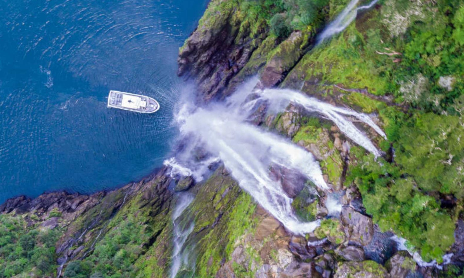 뉴질랜드  남섬 밀포드 사운드 소형 보트 크루즈 이미지 2