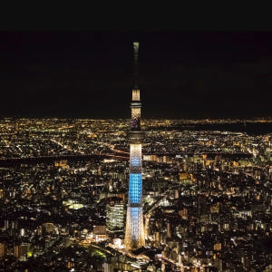 일본 SKYTREE® ENJOY PACK (ICE SKATING PARK... 솔직 후기 | 실사용자 리뷰 분석 - 상품 이미지 1