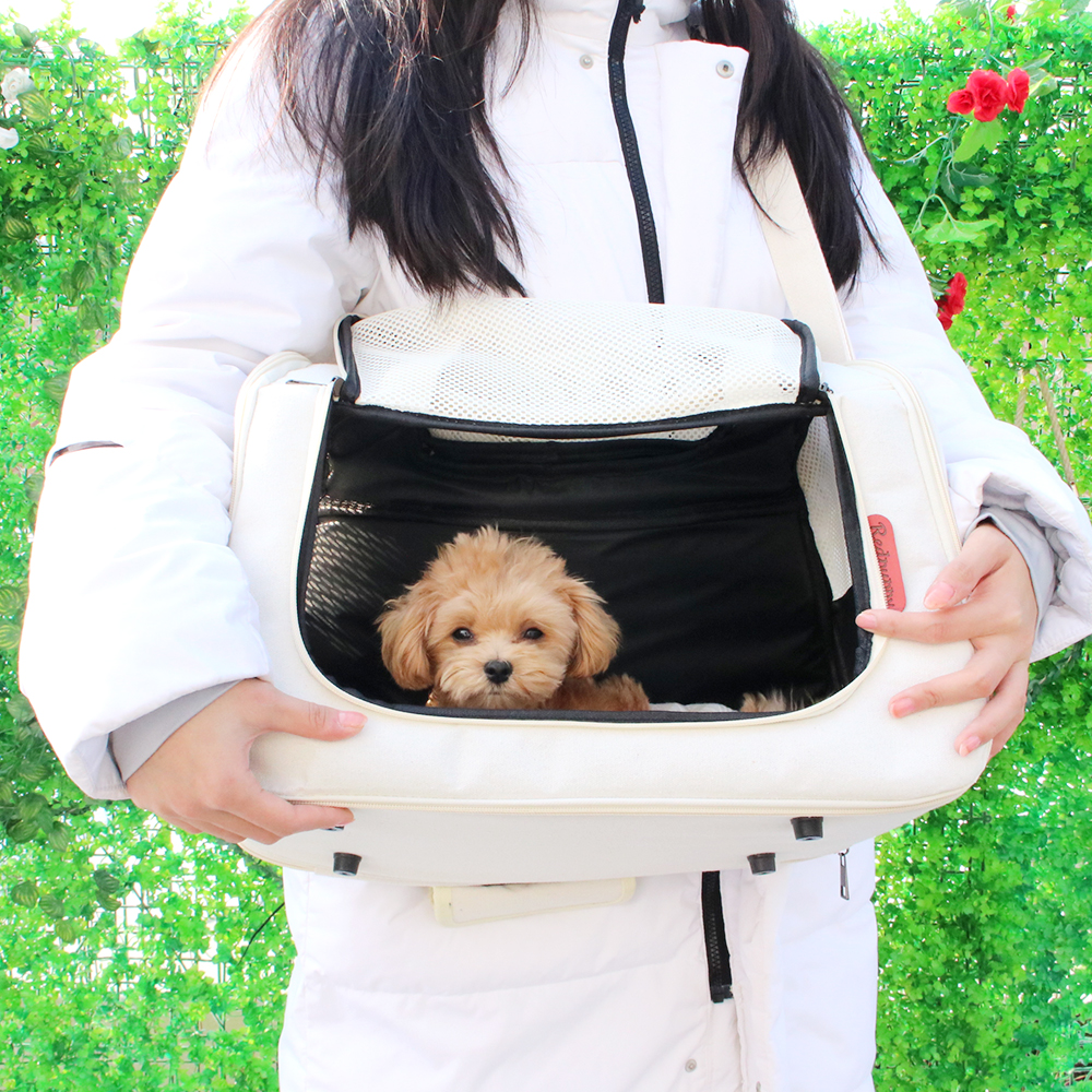 개과천선 에디토 강아지 이동가방 고양이 외출용품 이동장 패브릭 캐리어 메쉬창 아이보리 - 상세 이미지 3