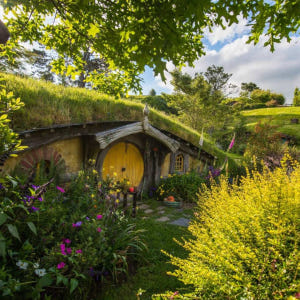 뉴질랜드 북섬 호빗마을 호비튼 영화 세트장 투어【반일투어】 솔직 후기 | 실사용자 리뷰 분석 - 상품 이미지 2