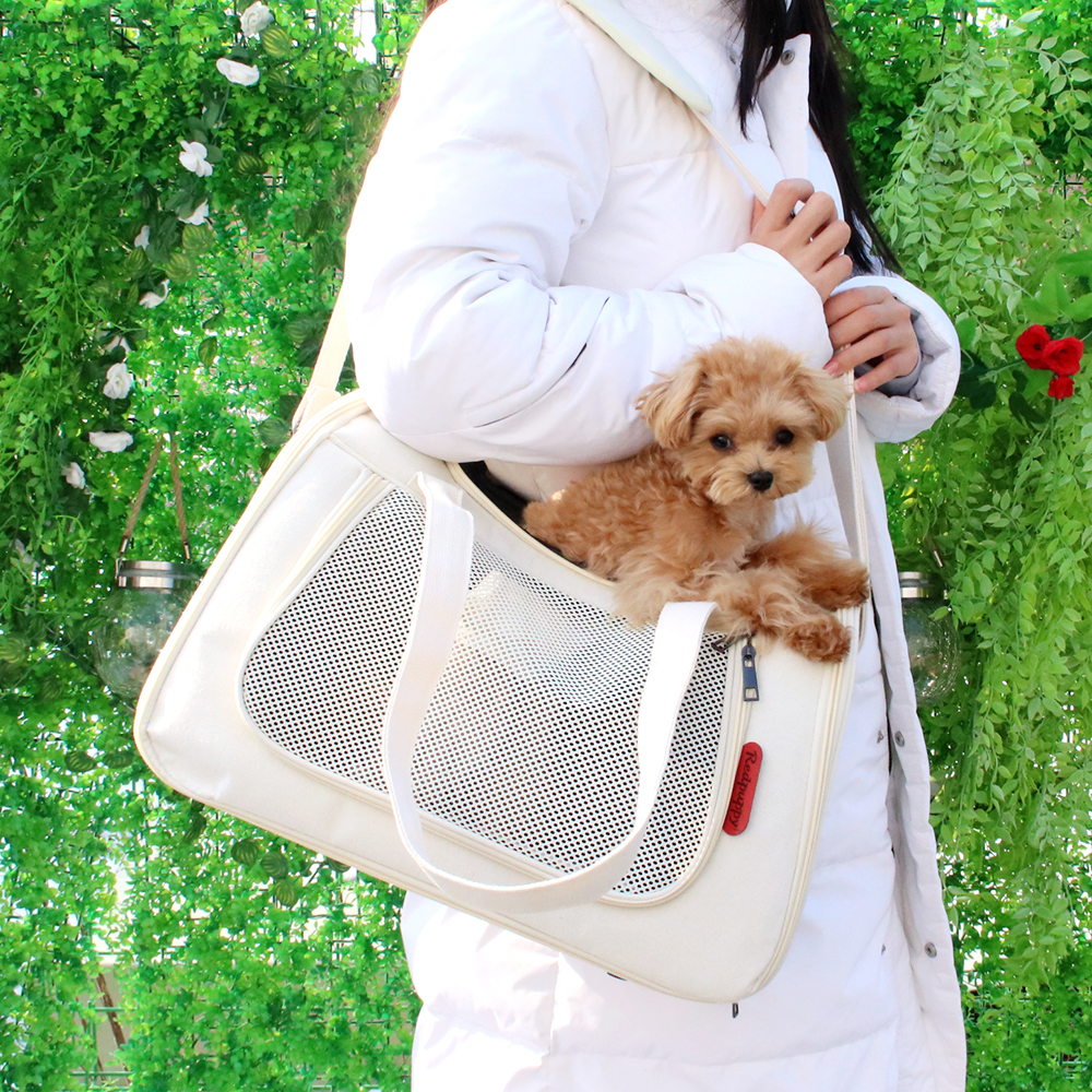 개과천선 에디토 강아지 이동가방 고양이 외출용품 이동장 패브릭 캐리어 메쉬창 아이보리 이미지 6
