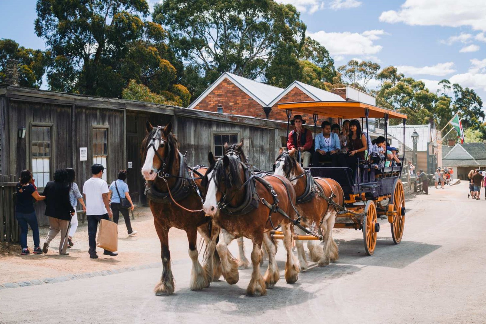 호주 멜버른 소버린힐 티켓 솔직 후기 | 실사용자 리뷰 분석 - 대표 이미지
