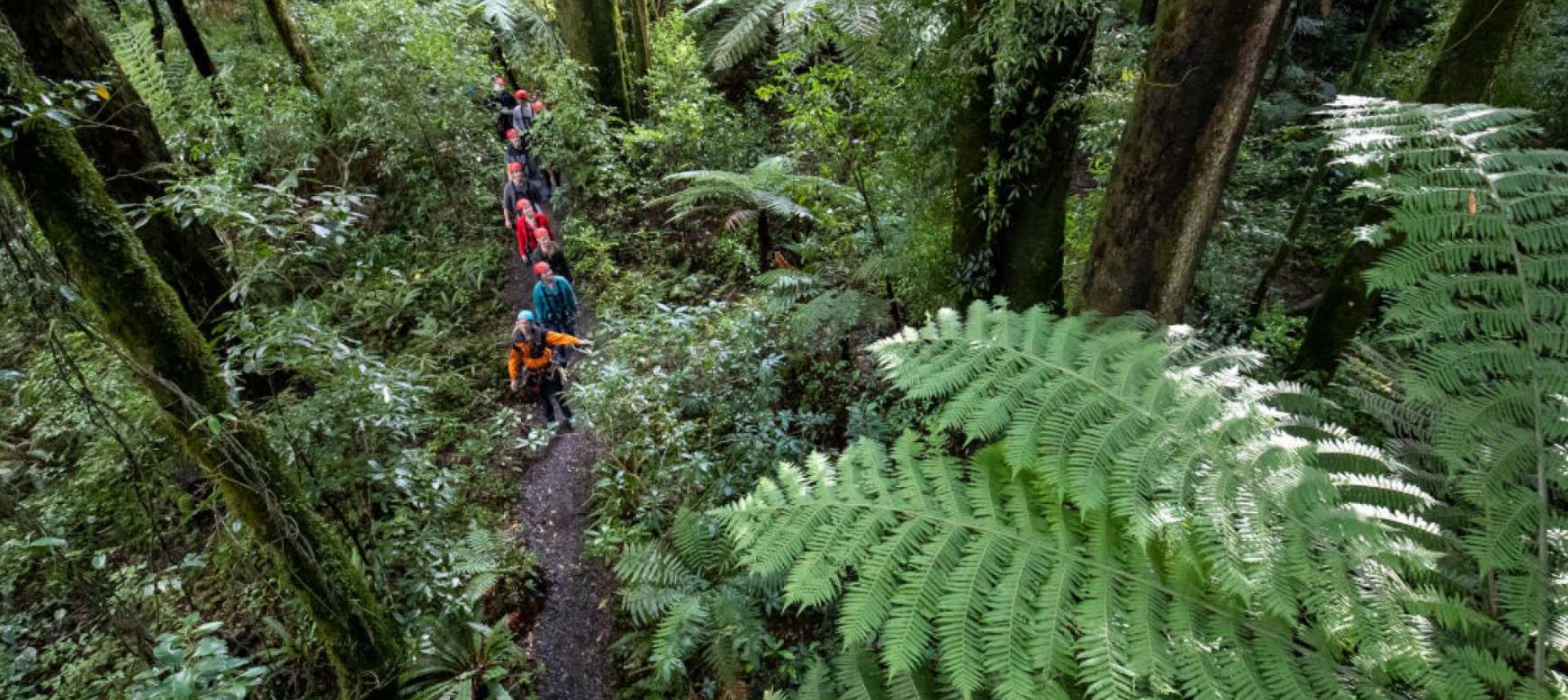 뉴질랜드 로토루아 포레스트 짚라인 캐노피 투어 솔직 후기 | 실사용자 리뷰 분석 - 대표 이미지