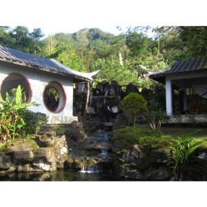 대만 천섬 호수 & 핑린 차 농장 가이드 투어 (타이페이 출발) 솔직 후기 | 실사용자 리뷰 분석 - 상품 이미지 3