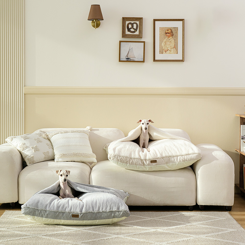 펫테일 컴피베드 캥거루 강아지 방석 이불 단모종 은나노 대형 침대 이미지 4