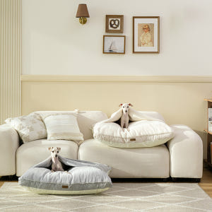 펫테일 컴피베드 캥거루 강아지 방석 이불 단모종 은나노 대형 침대 솔직 후기 | 실제 사용자 리뷰 총정리 - 상품 이미지 4