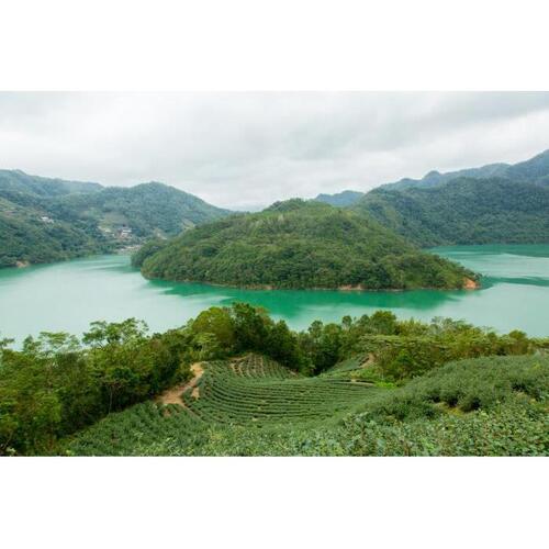 대만 천섬 호수 & 핑린 차 농장 가이드 투어 (타이페이 출발) 솔직 후기 | 실사용자 리뷰 분석 - 대표 이미지