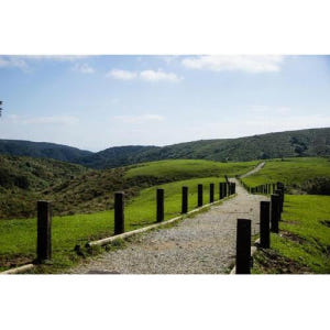 대만 타이페이 베이터우 & 양밍산 일일 투어 솔직 후기 | 실사용자 리뷰 분석 - 상품 이미지 1