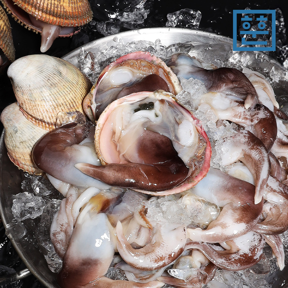 여수 자연산 제철 새조개 손질 500g 샤브샤브용 - 상세 이미지 5