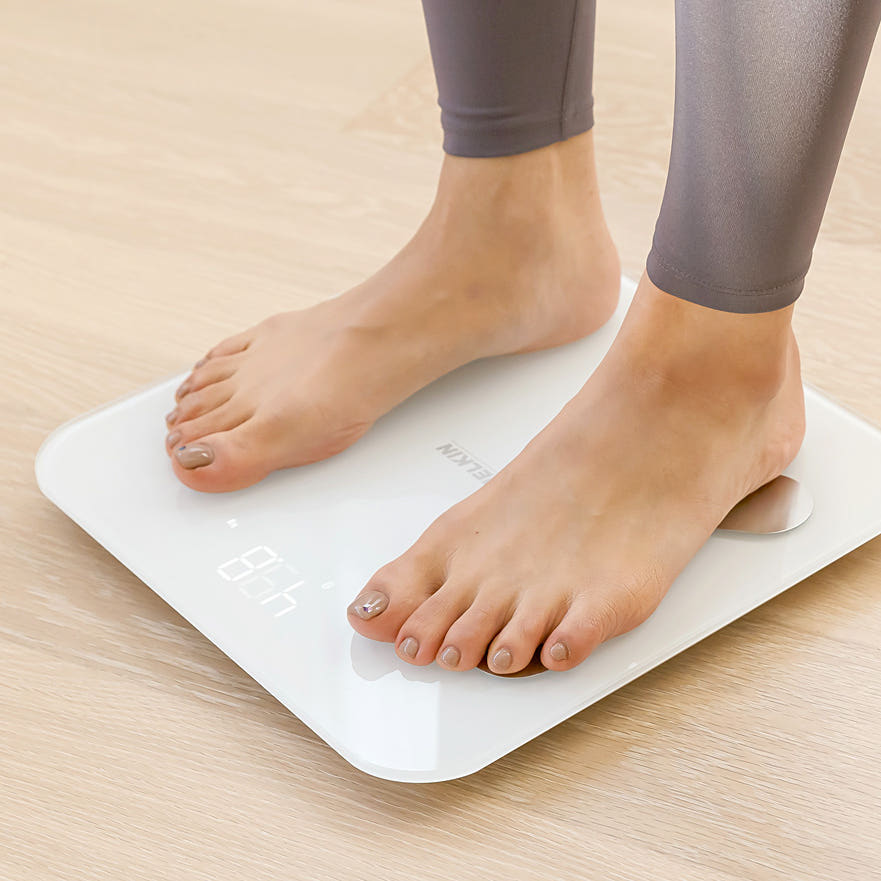 멜킨 스마트 체중계