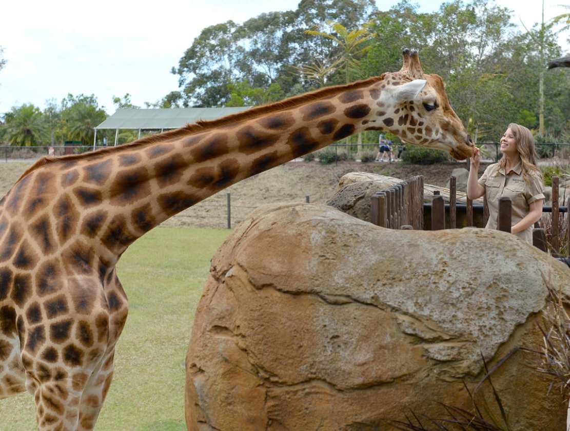 호주 동물원 & 야생동물 병원 티켓 이미지 3