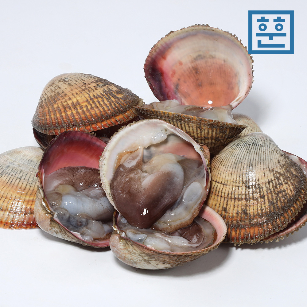 여수 자연산 제철 새조개 손질 500g 샤브샤브용 - 상세 이미지 2