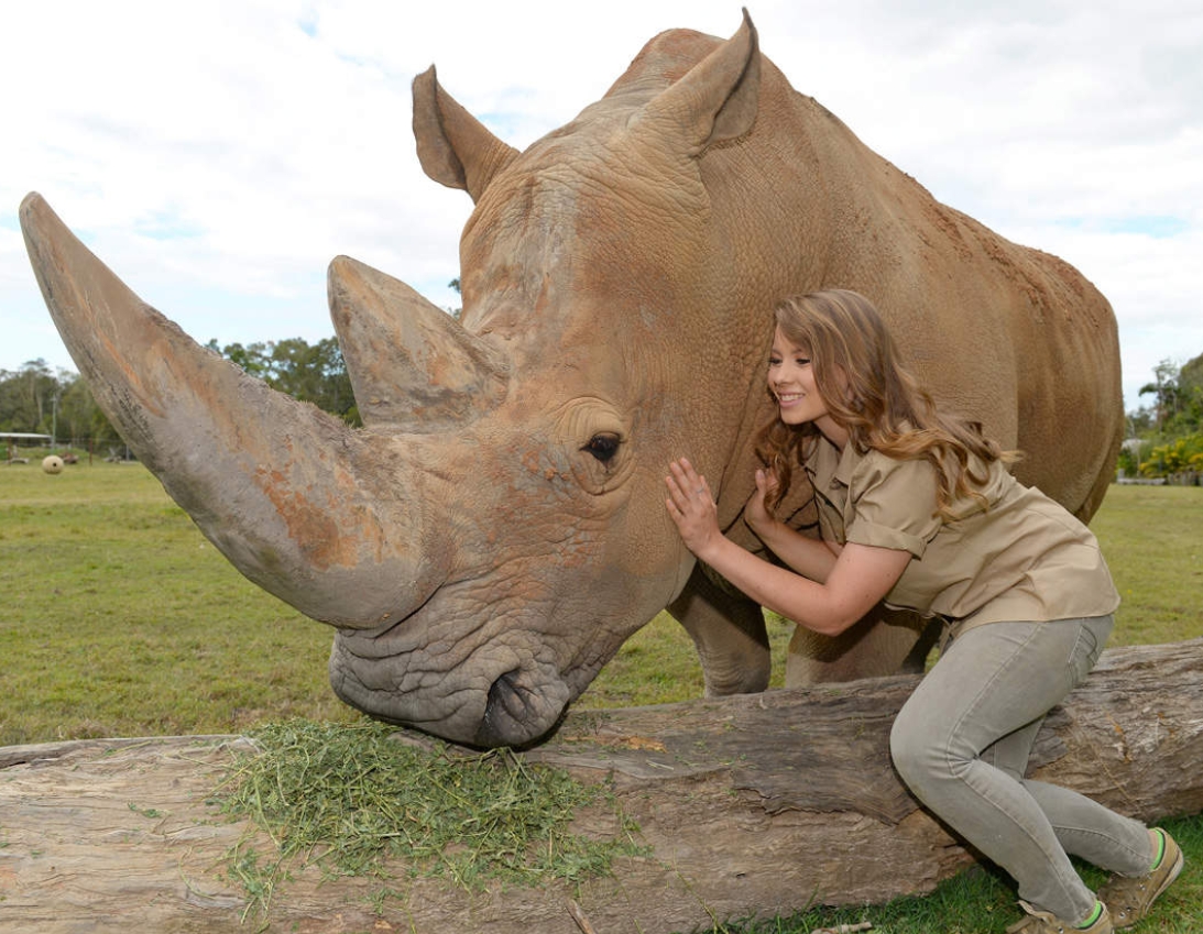 호주 동물원 & 야생동물 병원 티켓 솔직 후기 | 실사용자 리뷰 분석 - 대표 이미지