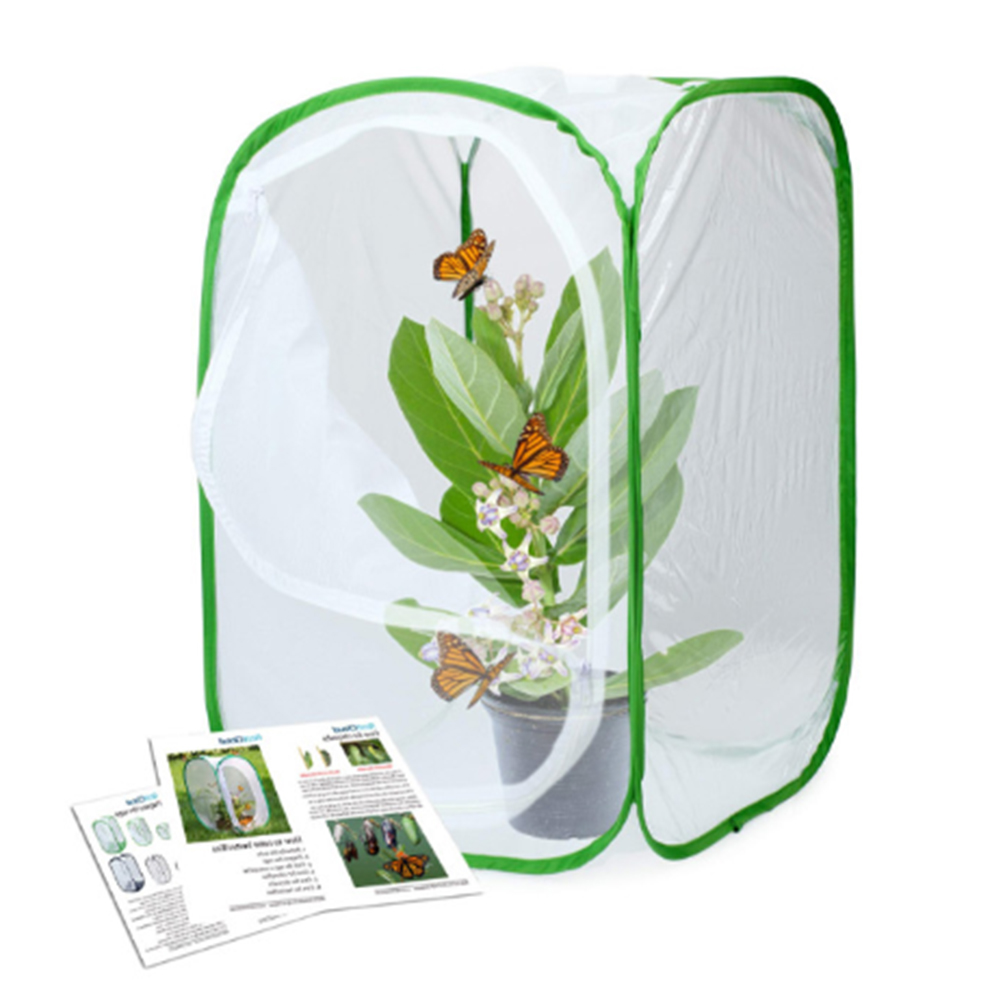 40x40x60cm 망사 채집통 곤충 사육 케이지 나비 접이식 기르기 키우기 새장 거미 - 상품 이미지