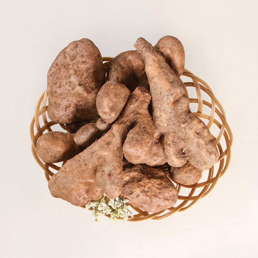 국내산 안동 마 참마 산마 장마 산지직송 중품 상품 특품 알뜰 2kg 이미지 3