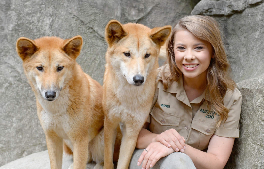 호주 동물원 & 야생동물 병원 티켓 이미지 2