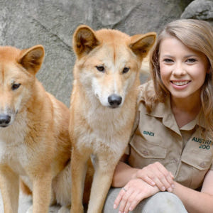호주 동물원 & 야생동물 병원 티켓 솔직 후기 | 실사용자 리뷰 분석 - 상품 이미지 2