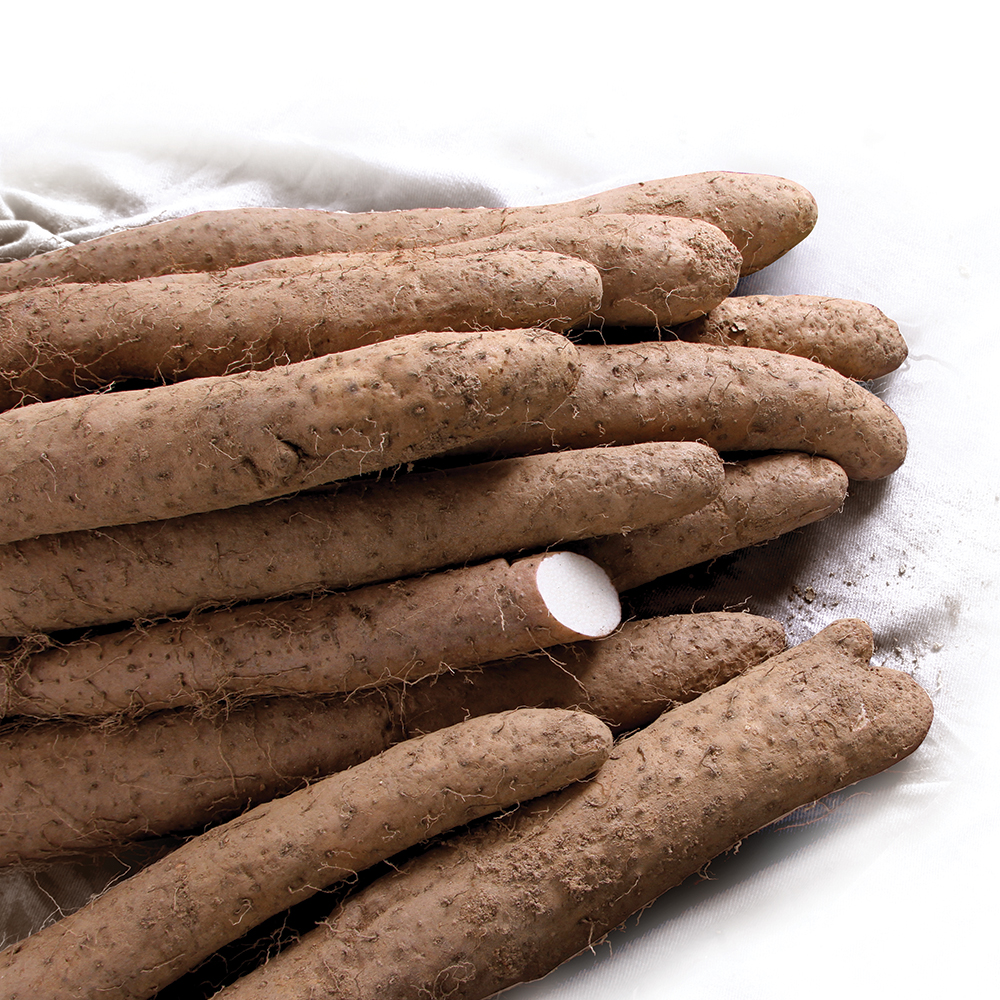 국내산 안동마 참마 산마 장마 산지직송 상품 특품 2kg - 상세 이미지 2