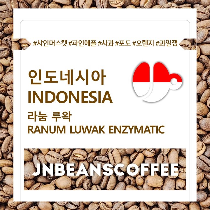 (드립백 3개/5개) ﻿인도네시아 라눔 루왁 효소 발효 (INDONESIA RANUM LUWAK ENZYMATIC) / 인도네시커피 - 상세 이미지 3