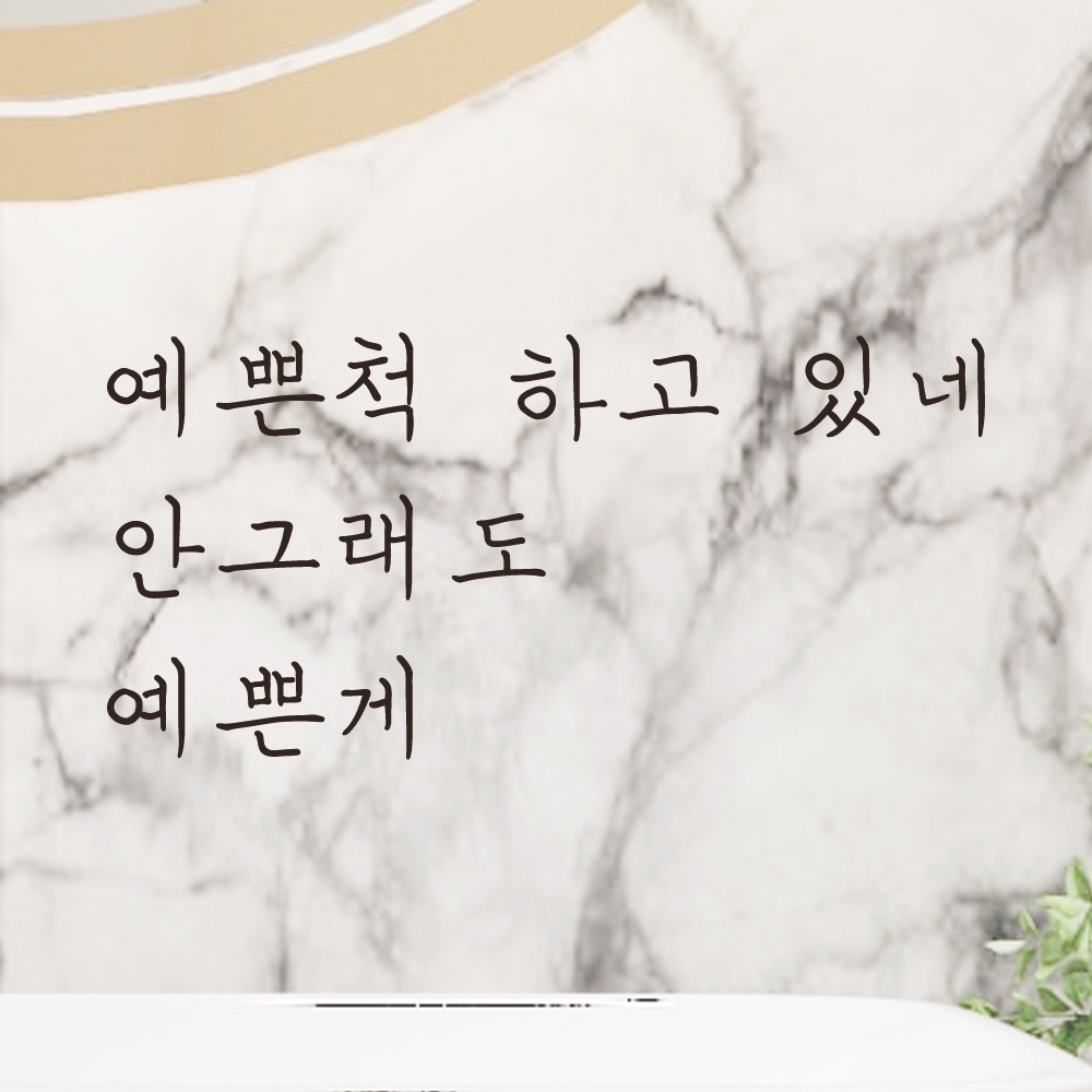 손글씨 레터링 스티커 예쁜척 하고 있네 안그래도 예쁜게 거울 카페 LH-003S검정 - 상세 이미지 2
