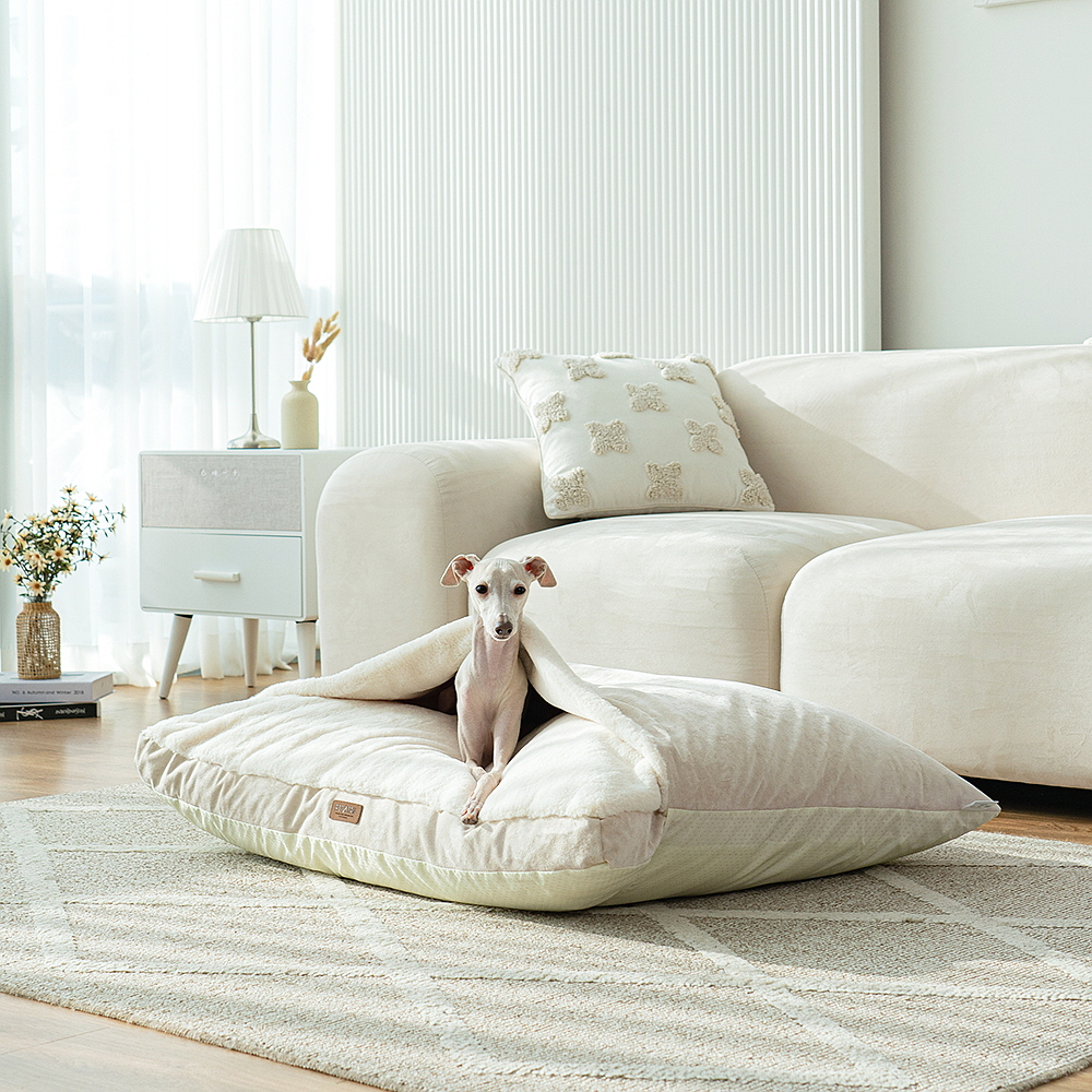 펫테일 컴피베드 캥거루 강아지 방석 이불 단모종 은나노 대형 침대