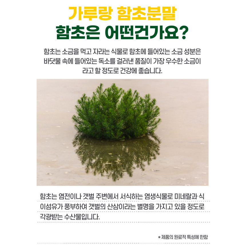 첨가물없는 함초 가루 분말 국내산 100% 파우더 선식 400g - 상세 이미지 3