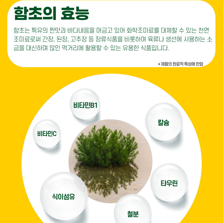 첨가물없는 함초 가루 분말 국내산 100% 파우더 선식 400g - 상세 이미지 4