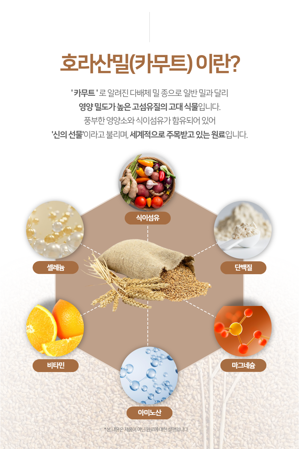 카무드 효소 카뮤트 카무트 호라산밀 추천 분말 가루 역가수치 브리오웰 60정, 3개 - 상세 이미지 5