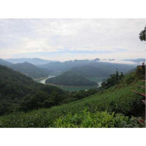 대만 타이페이에서 천 섬 호수와 핑린 차 농장 솔직 후기 | 실사용자 리뷰 분석 - 상품 이미지 1