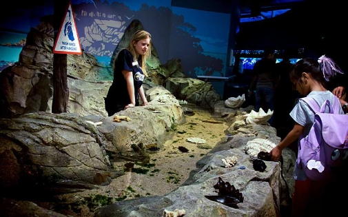 호주 시드니 SEA LIFE  아쿠아리움 입장권 이미지 4