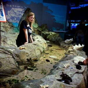 호주 시드니 SEA LIFE  아쿠아리움 입장권 솔직 후기 | 실사용자 리뷰 분석 - 상품 이미지 4