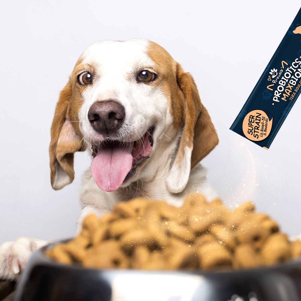 닥터페렌들리 맥스바이옴 강아지 고양이 유산균 장건강 설사 변비 면역력 30포, 5개