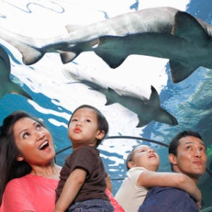 호주 시드니 SEA LIFE  아쿠아리움 입장권 솔직 후기 | 실사용자 리뷰 분석 - 상품 이미지 1