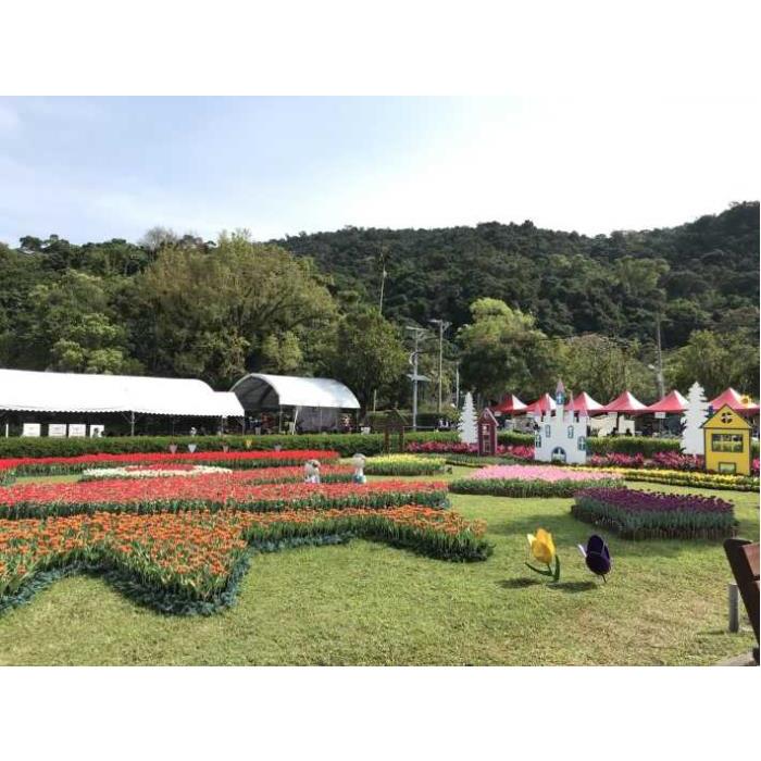 대만 타이베이: 가이드 벚꽃 일일 투어 이미지 2