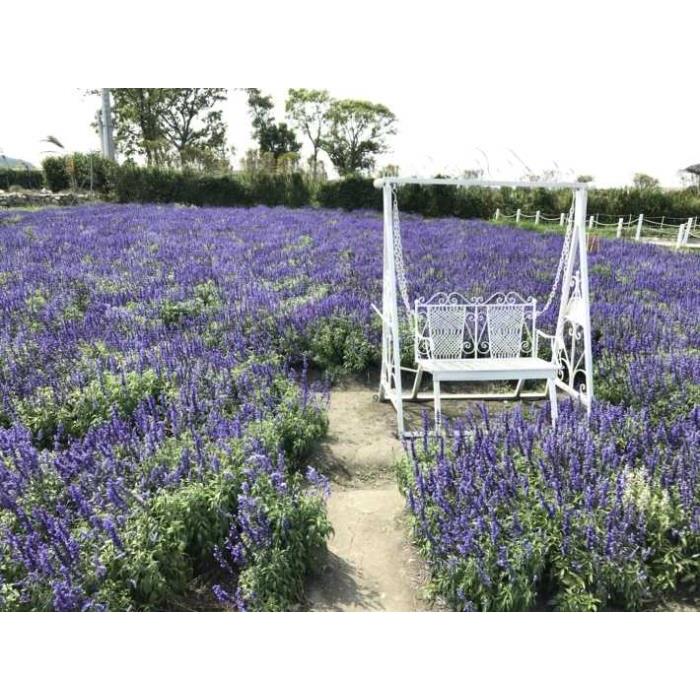 대만 타이페이 출발: 타이중 인스타그램 일일 투어 이미지 3