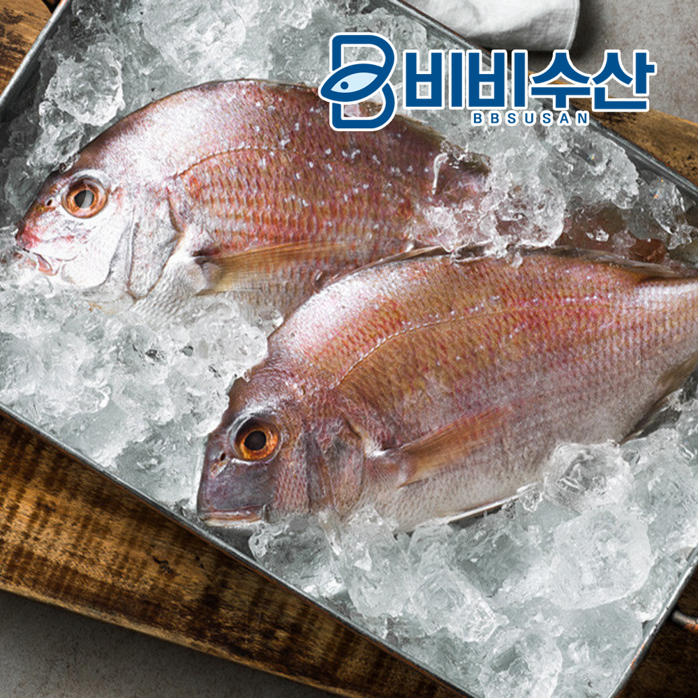 비비수산