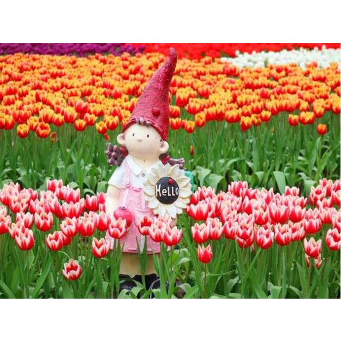 대만 타이베이: 가이드 벚꽃 일일 투어 이미지 3